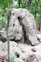 Eroded termite mound, home of many critters